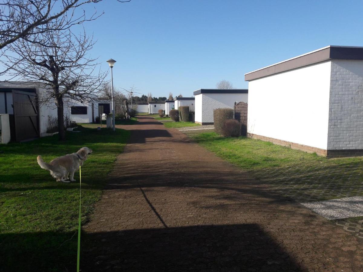 Le Petit Blekker Villa Koksijde Exteriör bild